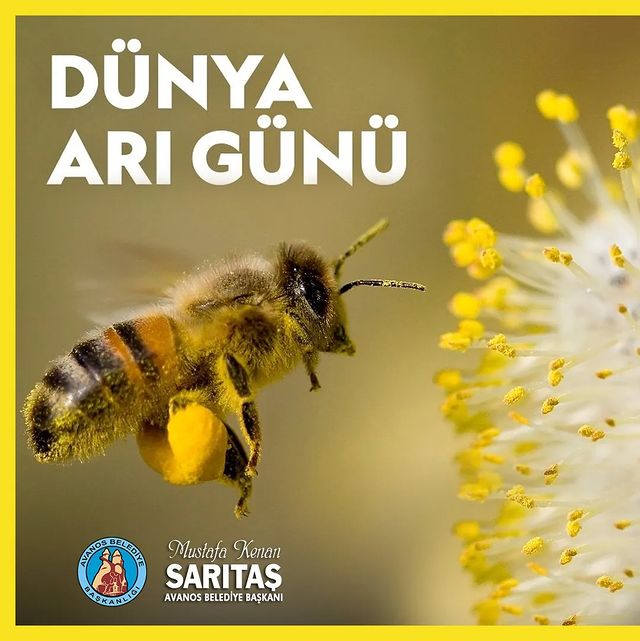 Avanos Belediyesi, Dünya Arı Günü'nde Arıların Önemine Dikkat Çekti