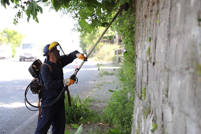 Zonguldak Belediyesi Yabani Ot ve Bitki Temizliğine Devam Ediyor