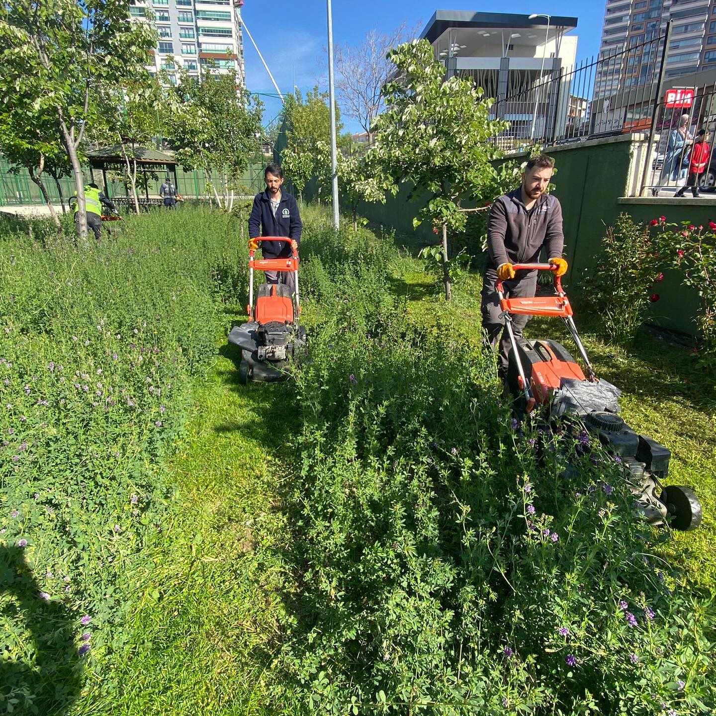 Pursaklar Belediyesi, Park ve Bahçeleri Yaz için Hazırlıyor